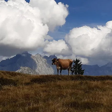Ransburggut Vakantieboerderij