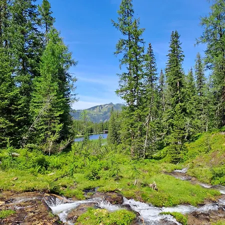 Ransburggut Vakantieboerderij *