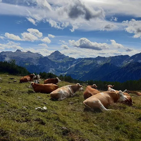 Vakantieboerderij Ransburggut *