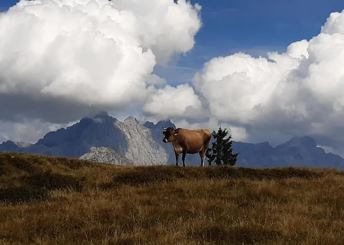 Ransburggut ファームステイ